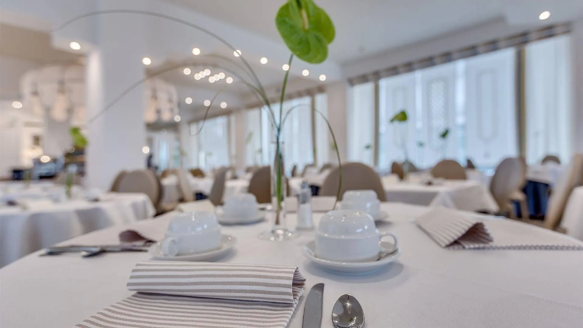 Hotel Delle Mimose Lido di Jesolo